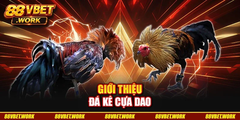 Giới thiệu đá kê cựa dao Giới thiệu đá kê cựa dao